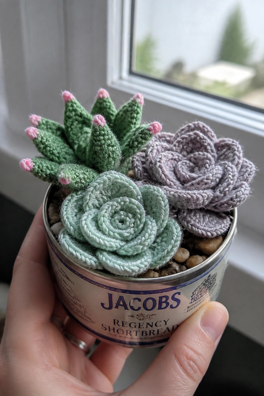 Hand holding Jacobs shortbread tin with crocheted green and purple succulents in pebbles