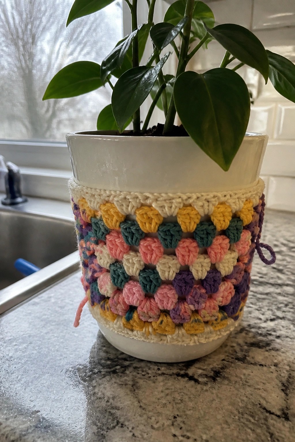 Colorful crocheted cozy wraps white plant pot with green leaves on kitchen counter