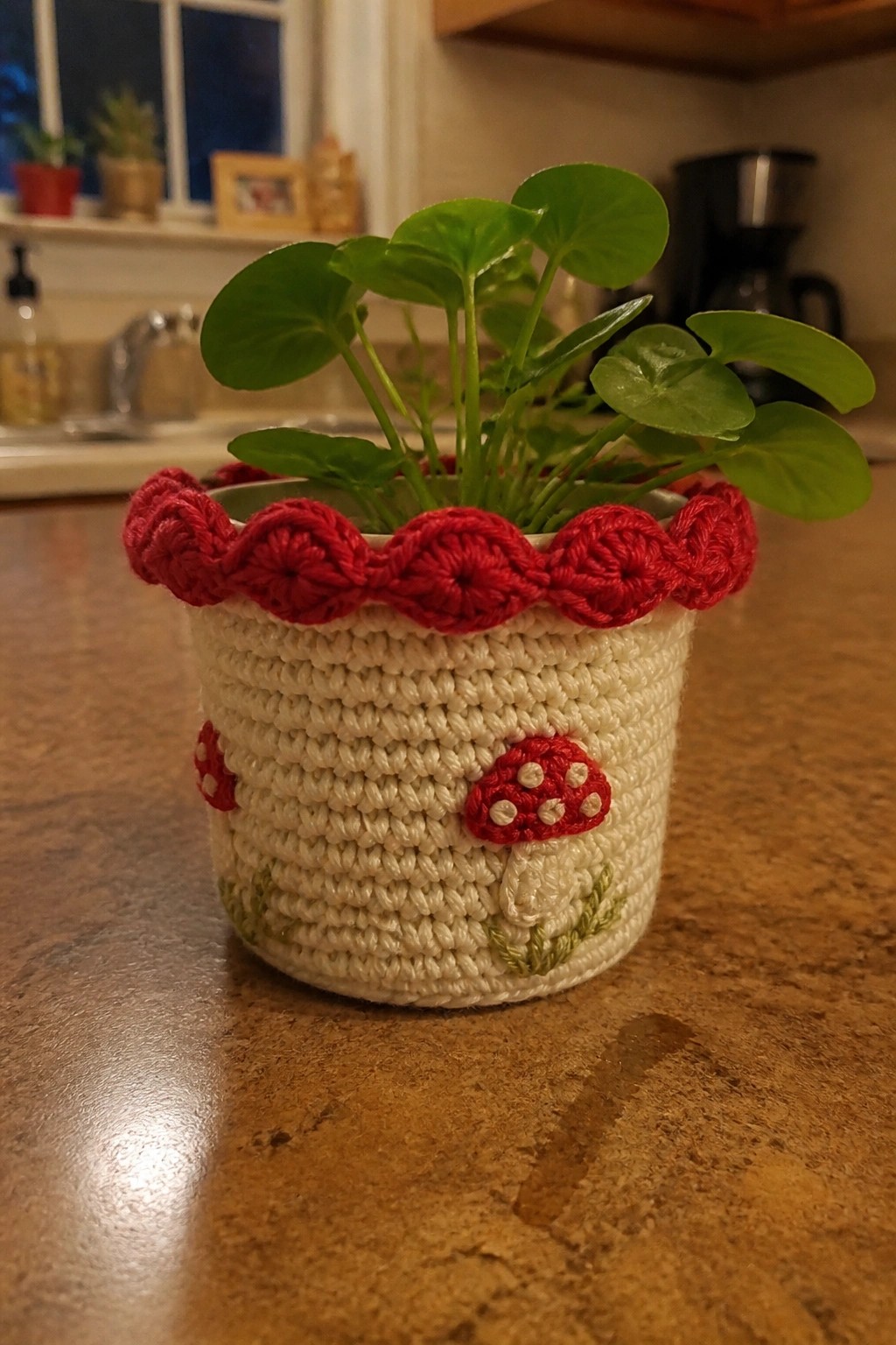 Crocheted white plant pot with red mushrooms, scalloped edge, and green plant on countertop