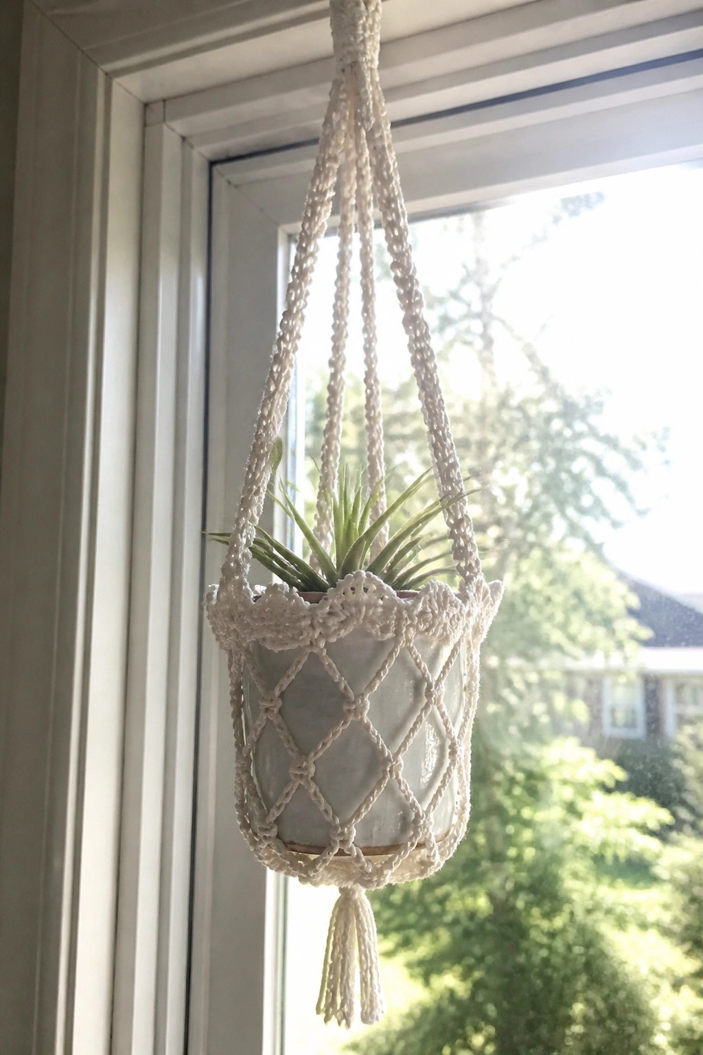 White macrame hanger with tassel holds potted green plant by sunny window.