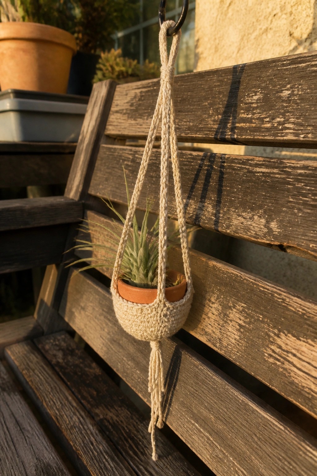 Macrame hanger with terracotta pot and air plant on weathered wooden bench.